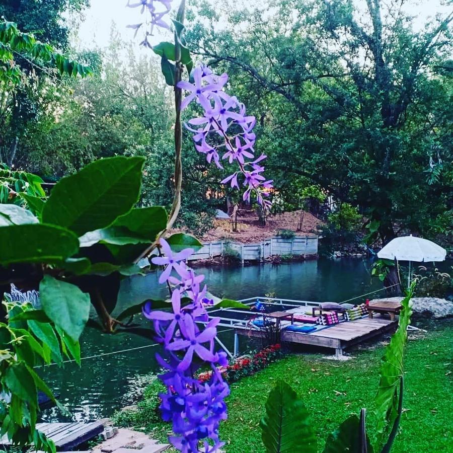 Brookhouse At Khaoyai Villa Ban Khanong Phra Klang Exteriör bild